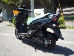 �X�Y�L�A���F�j�X125�i���Q�����R�s�j�摜6