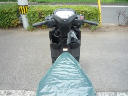 �X�Y�L�A�h���X125�i���Q�����R�s�j�摜7