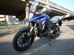 �X�Y�LV�X�g���[��250SX�i���Q�����R�s�j�摜7