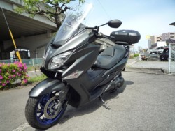 �X�Y�L�o�[�O�}��400�i���Q�����R�s�j�摜7