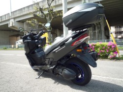 �X�Y�L�o�[�O�}��400�i���Q�����R�s�j�摜8