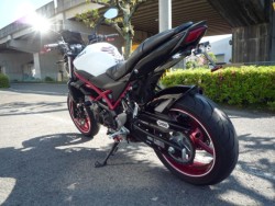 �X�Y�LSV650�i���Q�����R�s�j�摜8