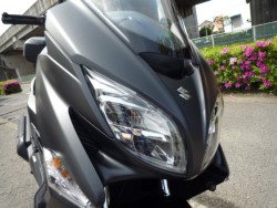 �X�Y�L�o�[�O�}��400�i���Q�����R�s�j�摜10