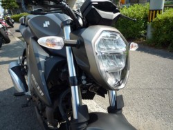 �X�Y�L�W�N�T�[250�i���Q�����R�s�j�摜10