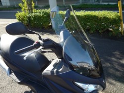 �X�Y�L�o�[�O�}��200�i���Q�����R�s�j�摜11