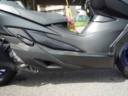 �X�Y�L�o�[�O�}��400�i���Q�����R�s�j�摜14