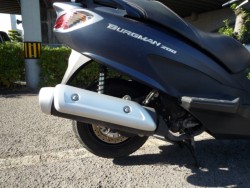 �X�Y�L�o�[�O�}��200�i���Q�����R�s�j�摜15