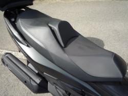 �X�Y�L�o�[�O�}��400�i���Q�����R�s�j�摜15