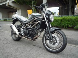 �X�Y�LSV650�i���Q�����R�s�j�摜3