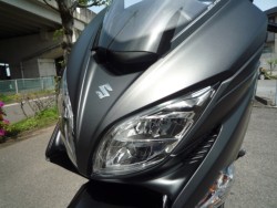 �X�Y�L�o�[�O�}��400�i���Q�����R�s�j�摜19