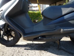 �X�Y�L�o�[�O�}��200�i���Q�����R�s�j�摜20