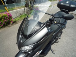 �X�Y�L�o�[�O�}��400�i���Q�����R�s�j�摜20