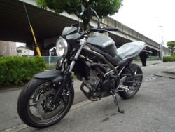 �X�Y�LSV650�i���Q�����R�s�j�摜5