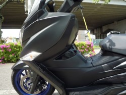 �X�Y�L�o�[�O�}��400�i���Q�����R�s�j�摜22