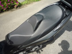 �X�Y�L�o�[�O�}��400�i���Q�����R�s�j�摜24