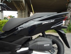 �z���_PCX�i���Q�����R�s�j�摜25