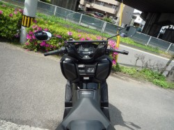 �X�Y�L�o�[�O�}��400�i���Q�����R�s�j�摜27