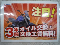 �X�Y�L�W�N�T�[SF250�i���Q�����R�s�j�摜10