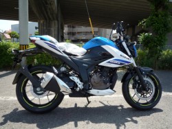 XYL WNT[250 