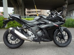�X�Y�L&nbsp;GSX250R 