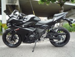 �X�Y�LGSX250R�i���Q�����R�s�j�摜2