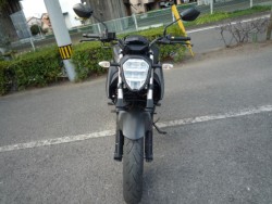 �X�Y�L�W�N�T�[250�i���Q�����R�s�j�摜3