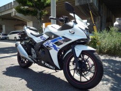 XYLGSX250RiQRsj摜5