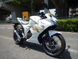 �X�Y�L�W�N�T�[SF250�i���Q�����R�s�j�摜5