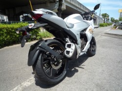 �X�Y�L�W�N�T�[SF250�i���Q�����R�s�j�摜6