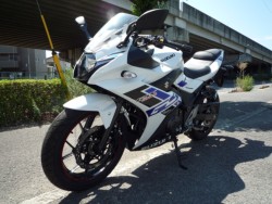 XYLGSX250RiQRsj摜7