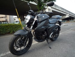 �X�Y�L�W�N�T�[250�i���Q�����R�s�j�摜7