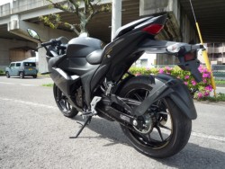 �X�Y�L�W�N�T�[SF250�i���Q�����R�s�j�摜8