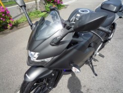 �X�Y�L�W�N�T�[SF250�i���Q�����R�s�j�摜21