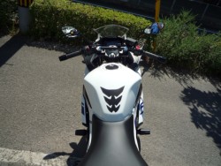 XYLGSX250RiQRsj摜25