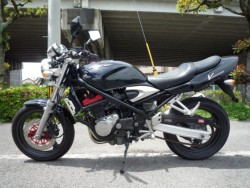 XYLofBbg250ViQRsj摜2