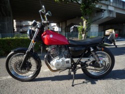 �X�Y�L�O���X�g���b�J�[�i���Q�����R�s�j�摜2