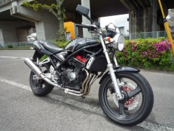 XYLofBbg250ViQRsj摜5