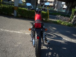 �X�Y�L�O���X�g���b�J�[�i���Q�����R�s�j�摜4