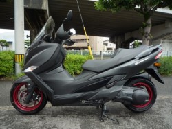 �X�Y�L�o�[�O�}��400�i���Q�����R�s�j�摜2