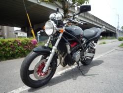XYLofBbg250ViQRsj摜7