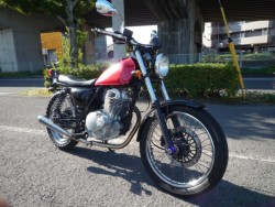 �X�Y�L�O���X�g���b�J�[�i���Q�����R�s�j�摜5