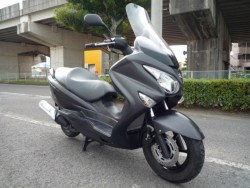 �X�Y�L�o�[�O�}��200�i���Q�����R�s�j�摜5