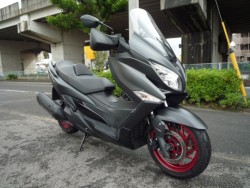 �X�Y�L�o�[�O�}��400�i���Q�����R�s�j�摜5