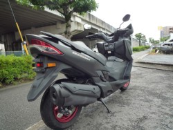 �X�Y�L�o�[�O�}��400�i���Q�����R�s�j�摜6