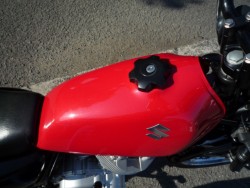 �X�Y�L�O���X�g���b�J�[�i���Q�����R�s�j�摜13