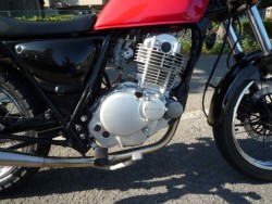 �X�Y�L�O���X�g���b�J�[�i���Q�����R�s�j�摜14