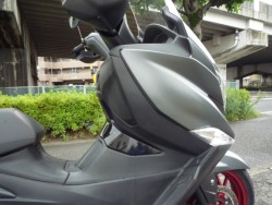 �X�Y�L�o�[�O�}��400�i���Q�����R�s�j�摜13