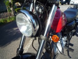 �X�Y�L�O���X�g���b�J�[�i���Q�����R�s�j�摜18