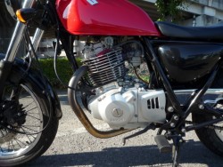 �X�Y�L�O���X�g���b�J�[�i���Q�����R�s�j�摜22