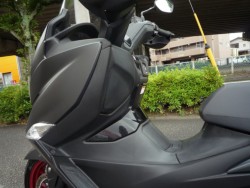 �X�Y�L�o�[�O�}��400�i���Q�����R�s�j�摜23